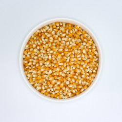 Maïs à pop corn Bio