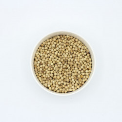 Grains poivre blanc  Bio - 50g