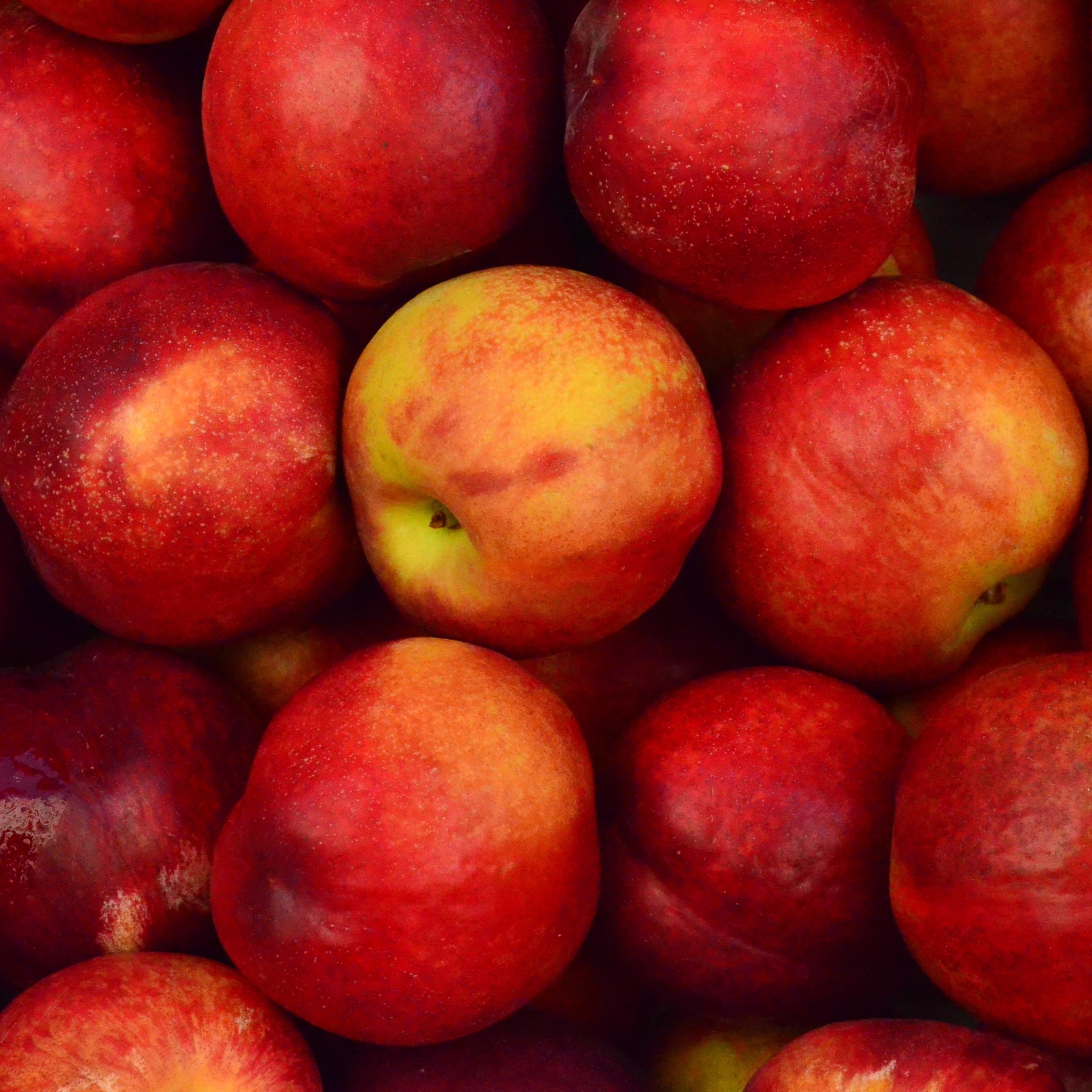 La pomme est un des fruits composant le panier de fruit de La Consignerie